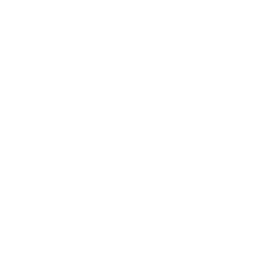 Ravn
